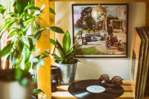 How to Refresh Your Home with Plants: Simple Tips for a Greener Space